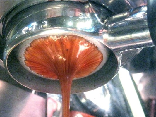 Herkimer Coffee by null