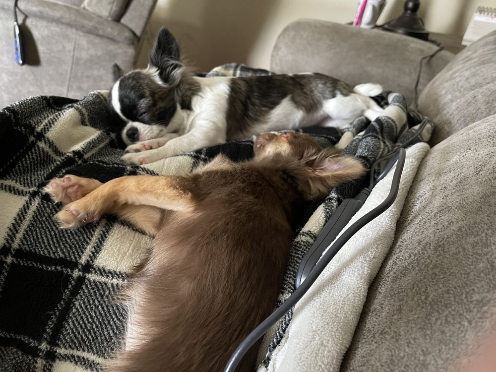 TRI COUNTY VETERINARY CLINIC Updated September 2024 9804 E State