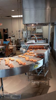 Krispy Kreme by null