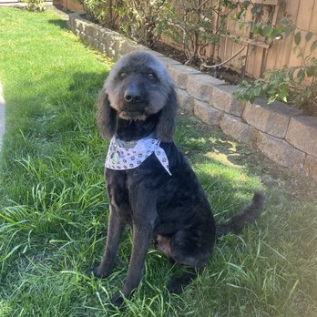 Barking Spot - Pet Stores Near Me - Chula Vista, California