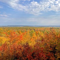 Thomas Rock Scenic Outlook - View from thomas Rock Scenic Overlook