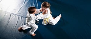 Performance Jiu-Jitsu & Self Defense Academy Logo