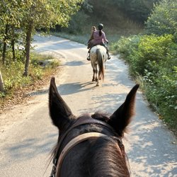 Flowing Springs Ranch