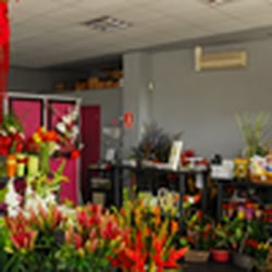 Pando Floristas