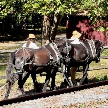 National Canal Museum - Two mules pulling the canal boat. - Museums Near Me - Easton, Pennsylvania National Canal Museum - Two mules pulling the canal boat. - Museums Near Me - Easton, Pennsylvania
