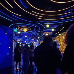 Immersive Van Gogh Exhibit