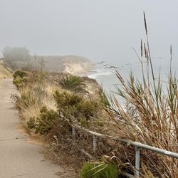 Aniso Trail - Pelicans taking advantage of the marine layer and breeze
