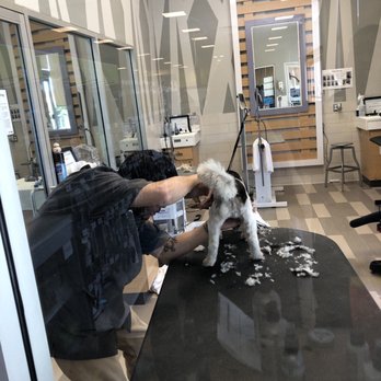 Petco - Pet Training Near Me - Santa Monica, California