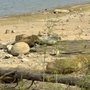 Cooper Lake State Park - South Sulphur Unit