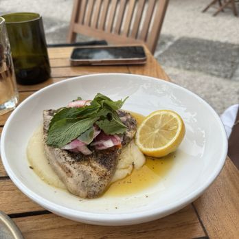 Amara at Paraiso - Fresh Catch - Swordfish - Latin American Near Me - Miami, Florida