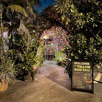 Yellow Dog Eats by null