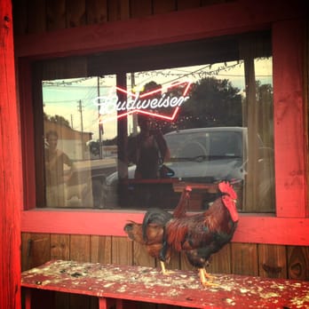 The Ole Barn - Two of the regulars. - Dive Bars Near Me - Gainesville, Florida