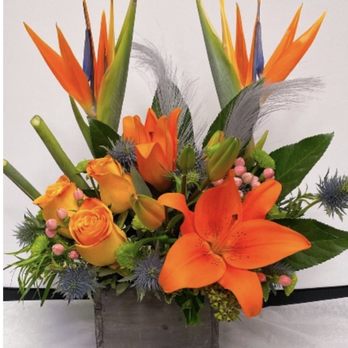 Bonavista Flowers - Birds of paradise, roses, berries wooden box eurengium, lilies tropical leaves - Florists Near Me - Calgary, Alberta Bonavista Flowers - Birds of paradise, roses, berries wooden box eurengium, lilies tropical leaves - Florists Near Me - Calgary, Alberta