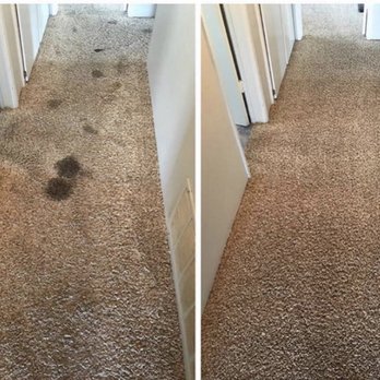 Cleaning Go Services - Carpet cleaning (Dirty carpet ) Pet friendly - Office Cleaning Near Me - San Diego, California Cleaning Go Services - Carpet cleaning (Dirty carpet ) Pet friendly - Office Cleaning Near Me - San Diego, California