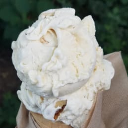 Maple Walnut Ice Cream