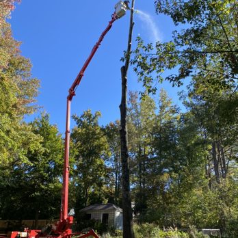 Rlayang Tree service - Using our new cmc 92 arbor pro spiderlift to remove an oak tree! - Tree Services Near Me - Greensboro, North Carolina Rlayang Tree service - Using our new cmc 92 arbor pro spiderlift to remove an oak tree! - Tree Services Near Me - Greensboro, North Carolina