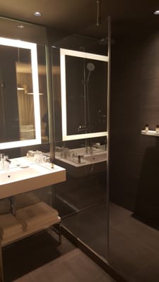 Pullman Brussels Centre Midi by null