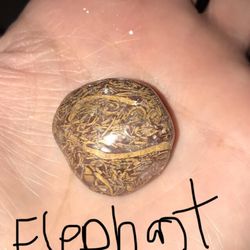 Legends of Time - This stone is stunning in person! Found in the Himalayan mountains in India, aids in meditation, it is also an excellent protection stone.