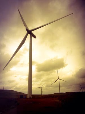 Whitelee wind farm by null