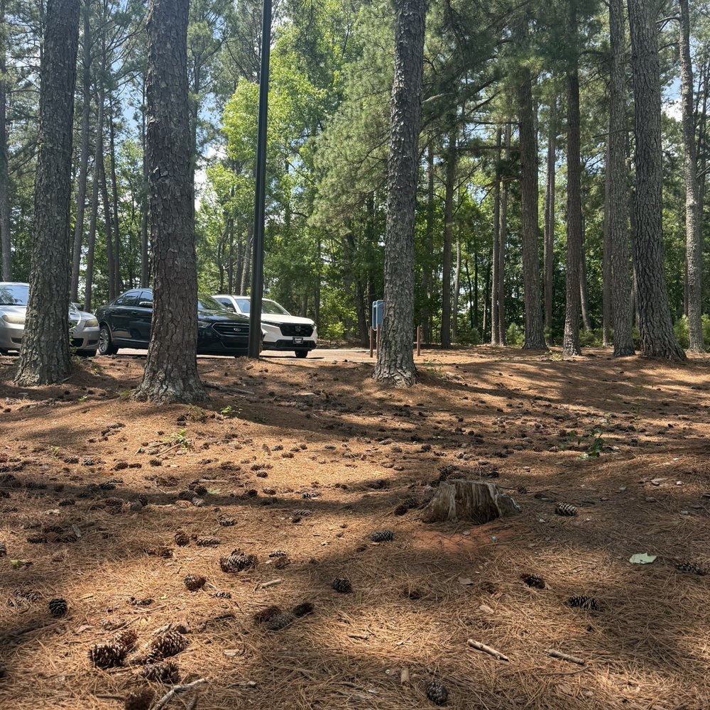 South Cove County Park - Parking. Many areas of shaded parking spots too. - Parks Near Me - Seneca, South Carolina South Cove County Park - Parking. Many areas of shaded parking spots too. - Parks Near Me - Seneca, South Carolina