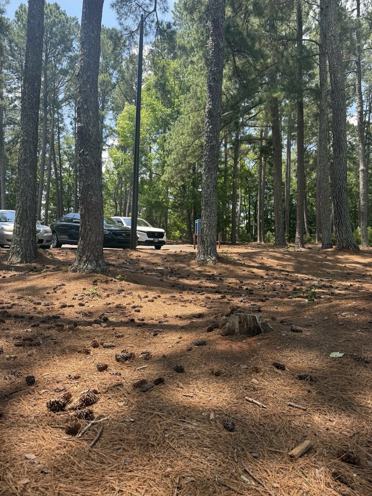 South Cove County Park Image