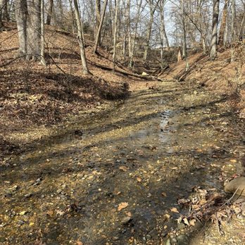 John A Roebling Memorial Park - 3/10/2024 watson woods bluff trail - Parks Near Me - Trenton, New Jersey
