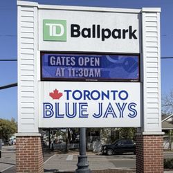 Toronto Blue Jays - Go Jays