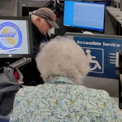 Department of Motor Vehicles - I feel this guy is extremely mean, rude, and very slow at his job.
