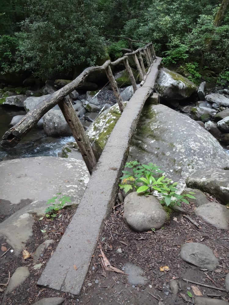 PORTERS CREEK TRAIL Updated August 2024 12 Photos Greenbrier Rd