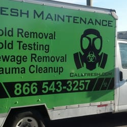 Fresh Maintenance