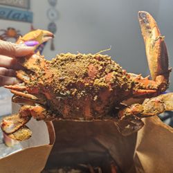 Seaside Seafood - Large male crabs