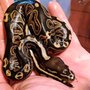 Photo of C & C Tropical Paradise Pet Shop