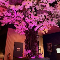 Fusion Cafe & Lounge