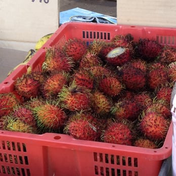 Turtle Town - Local Flavor Near Me - Kihei, Hawaii