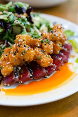 The Lime Lite by null