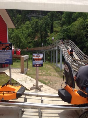 Smoky Mountain Alpine Coaster by null