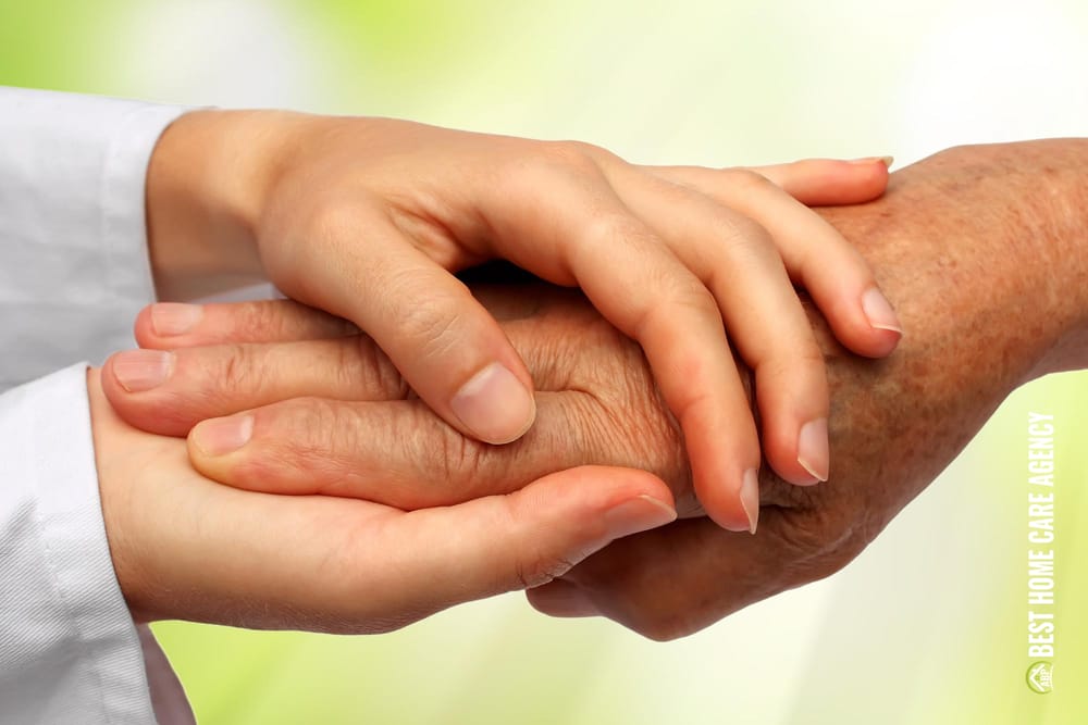 ABP Best Home Care Agency - home care agency in Newton, MA