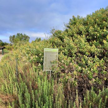 Talbert Regional Park (Talbert Nature Reserve) photo 4