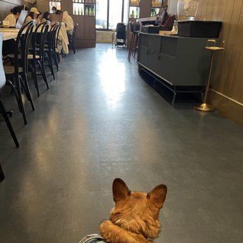Buoy - Studying - Desserts Near Me - San Francisco, California
