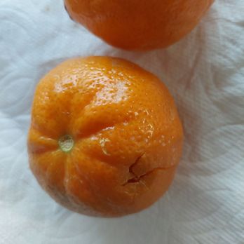 Pedrick Produce - Fruits & Veggies Near Me - Dixon, California Pedrick Produce - Fruits & Veggies Near Me - Dixon, California