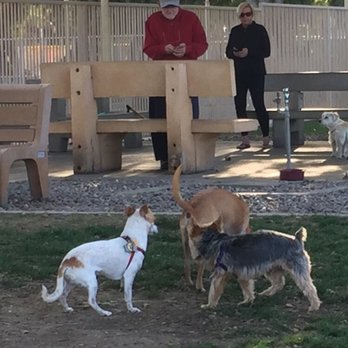 Palm Desert Dog Park - Small dog side - Dog Parks Near Me Palm Desert Dog Park - Small dog side - Dog Parks Near Me