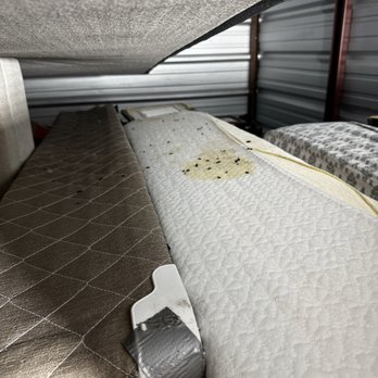 Public Storage - Rat feces and urine on mattress. - Self Storage Near Me - Cypress, Texas Public Storage - Rat feces and urine on mattress. - Self Storage Near Me - Cypress, Texas