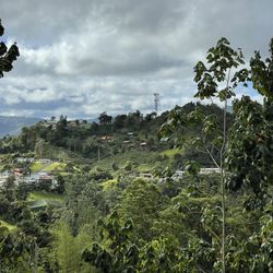 Café Licor - Nice view