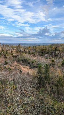 Ruffner Mountain by null