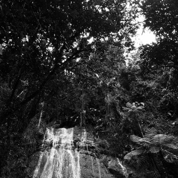 El Yunque Rainforest - Hiking Near Me - Luquillo, Puerto Rico