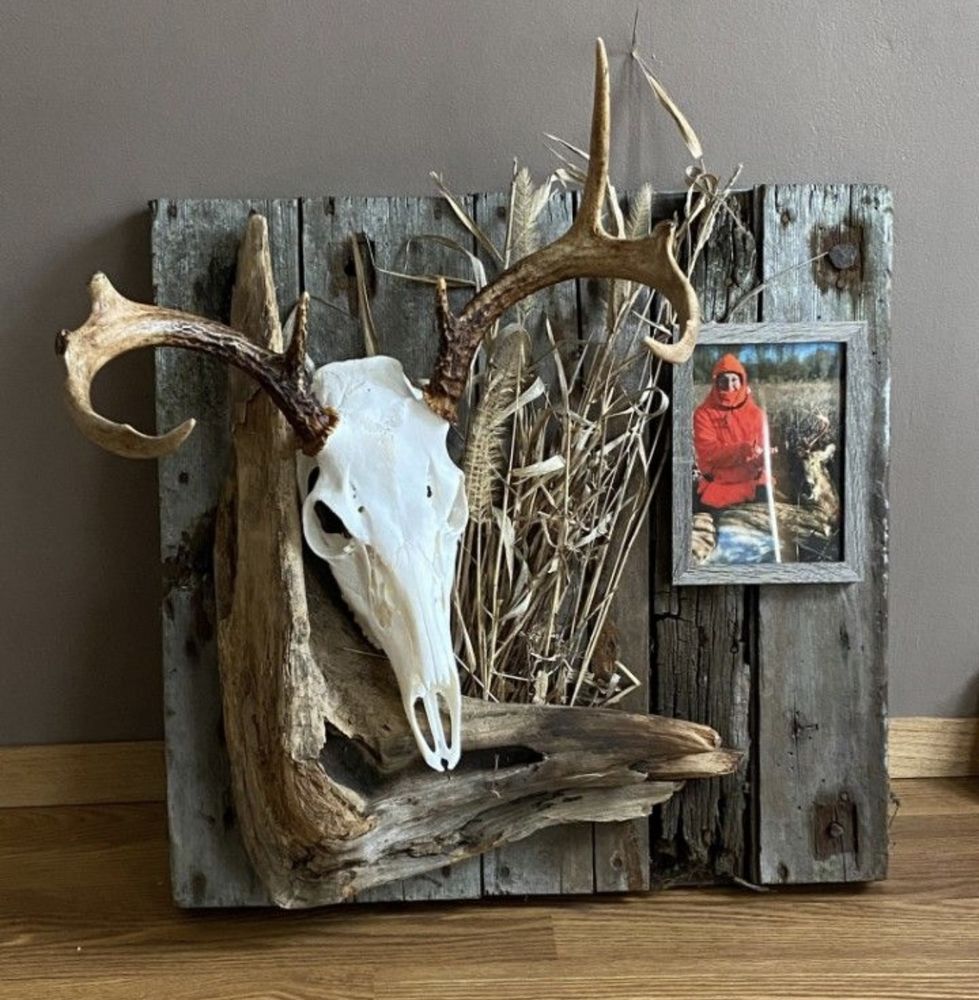 RM Taxidermy - taxidermy in Waynesville, MO