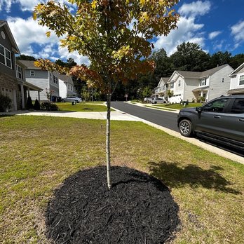 Speedy Landscaping - Lawn Services Near Me Speedy Landscaping - Lawn Services Near Me