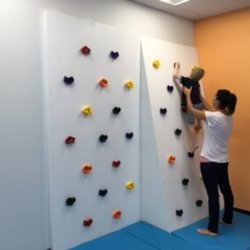 Cameron Roberts Speech Therapy - Climbing wall in the Occupational Therapy room!
