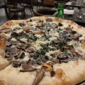 Tratto - Mushroom pizza - Italian Near Me - San Francisco, California Tratto - Mushroom pizza - Italian Near Me - San Francisco, California