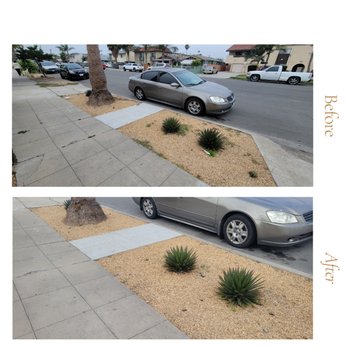 Marcos Maintenance - Parking strip - weed removal - Landscaping Near Me Marcos Maintenance - Parking strip - weed removal - Landscaping Near Me